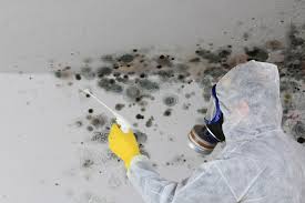 Best Industrial Mold Remediation  in Osakis, MN